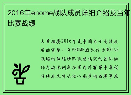 2016年ehome战队成员详细介绍及当年比赛战绩